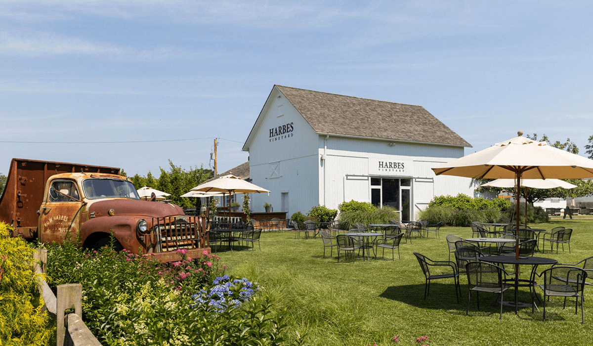 Harbes Vineyard