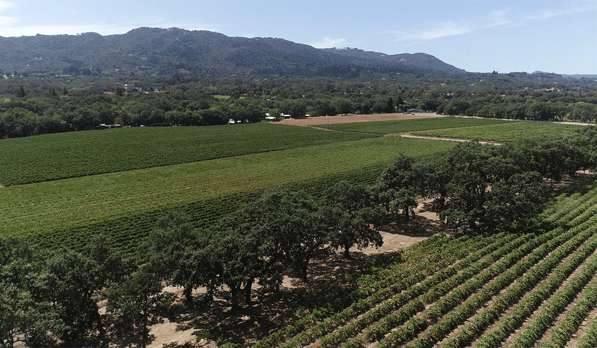 Highway 12 Vineyards and Winery