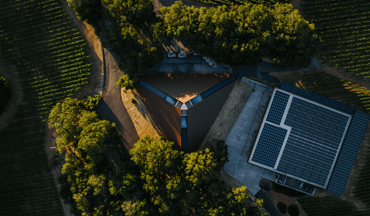 Chappellet Vineyard