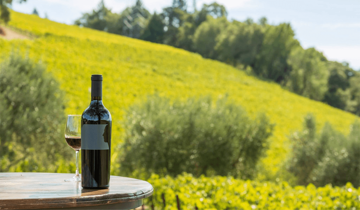 Merryvale Vineyards